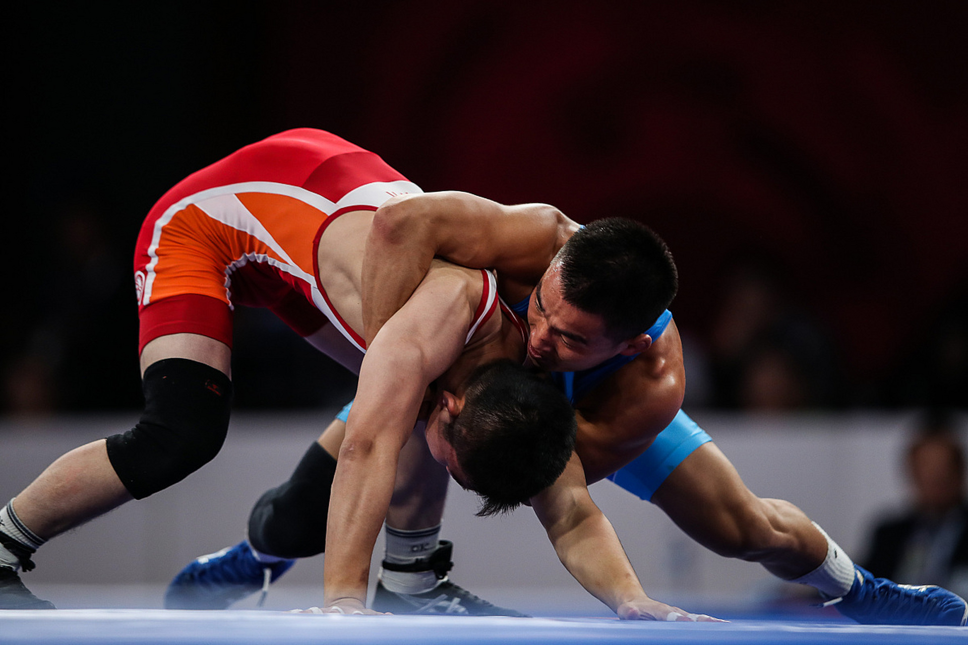 兰的年轻球 兰的年轻球