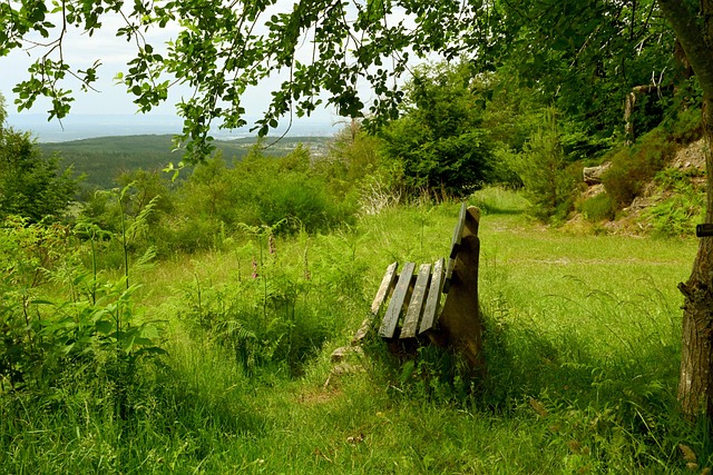 伤病恢复期 伤病恢复期